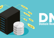 Lancar Jaya! Trik Konfigurasi DNS Server Debian agar Domain Lokal Aktif.