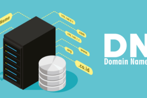 Lancar Jaya! Trik Konfigurasi DNS Server Debian agar Domain Lokal Aktif.